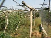 pict6694.jpg