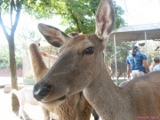 pict6722.jpg