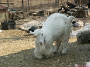 pict6741.jpg