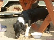 pict6942.jpg