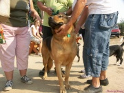 pict6997.jpg