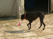 pict7050.jpg