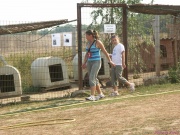 pict7053.jpg
