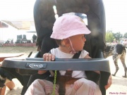 pict7069.jpg