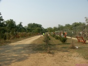 pict7122.jpg