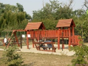 pict7124.jpg