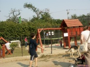 pict7128.jpg