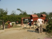 pict7129.jpg