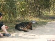 pict7131.jpg