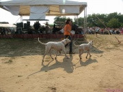 pict7145.jpg