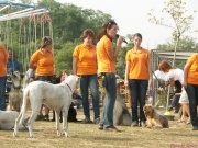 pict7155.jpg