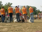 pict7174.jpg