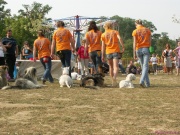 pict7175.jpg