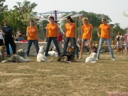 pict7177.jpg
