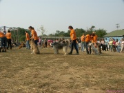 pict7189.jpg
