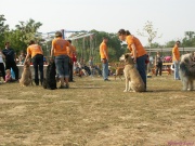 pict7190.jpg