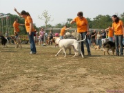 pict7192.jpg