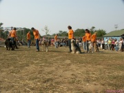 pict7193.jpg