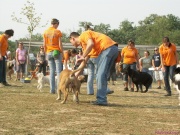 pict7198.jpg