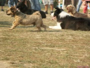pict7204.jpg