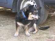 pict7257.jpg