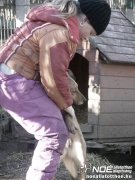 pict7264_3.jpg