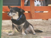 pict7278.jpg