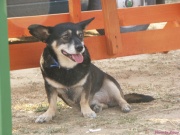 pict7279.jpg