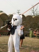 pict7367.jpg