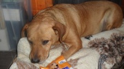sam_5402.jpg