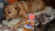 sam_5403.jpg