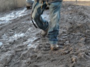 sam_6068.jpg