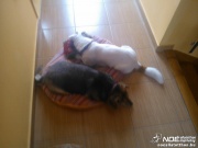 wp_000393.jpg