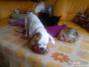 wp_000405.jpg
