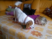wp_000406.jpg