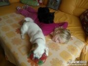 wp_000417.jpg
