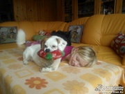 wp_000421.jpg