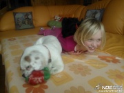 wp_000428.jpg