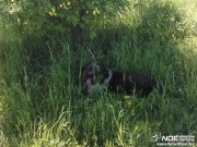 wp_001551.jpg