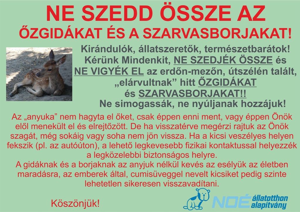 ozgida_k_2.jpg