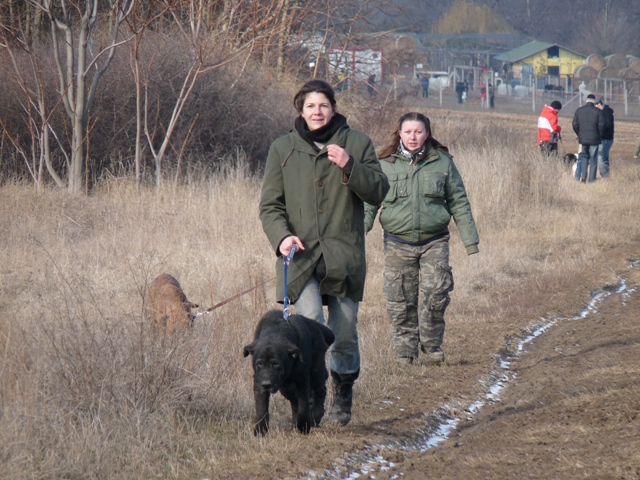 p1140632.jpg