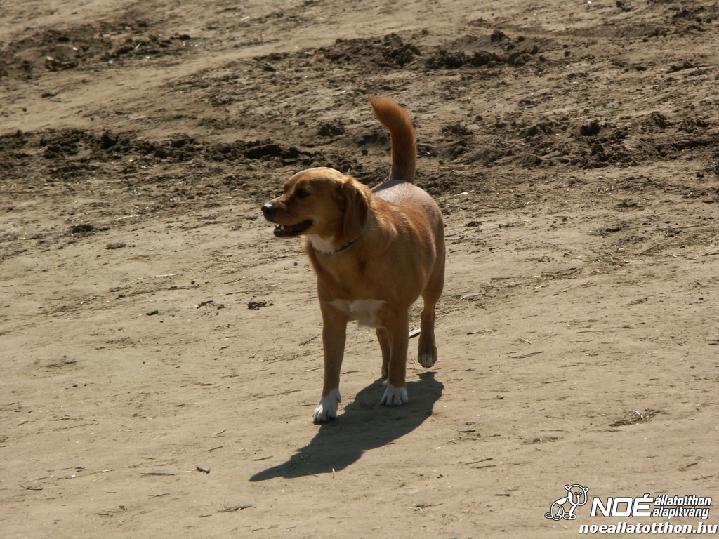 pict0139.jpg
