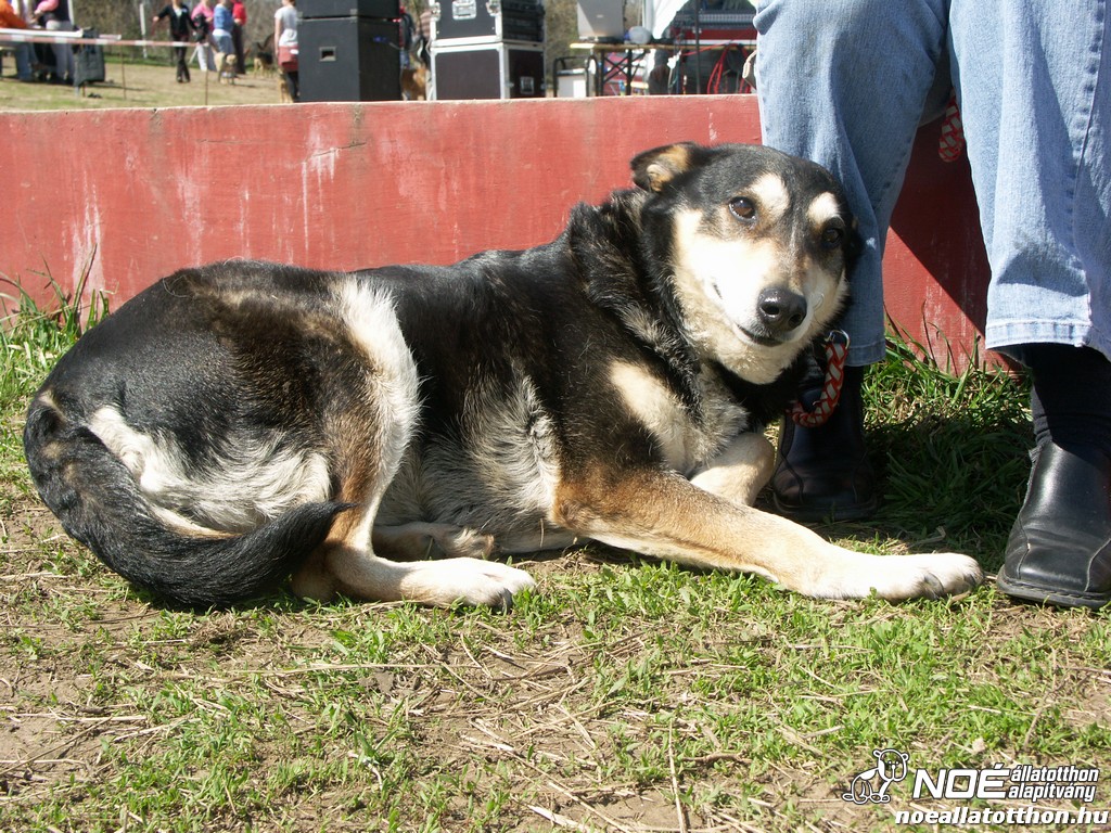 pict0156.jpg