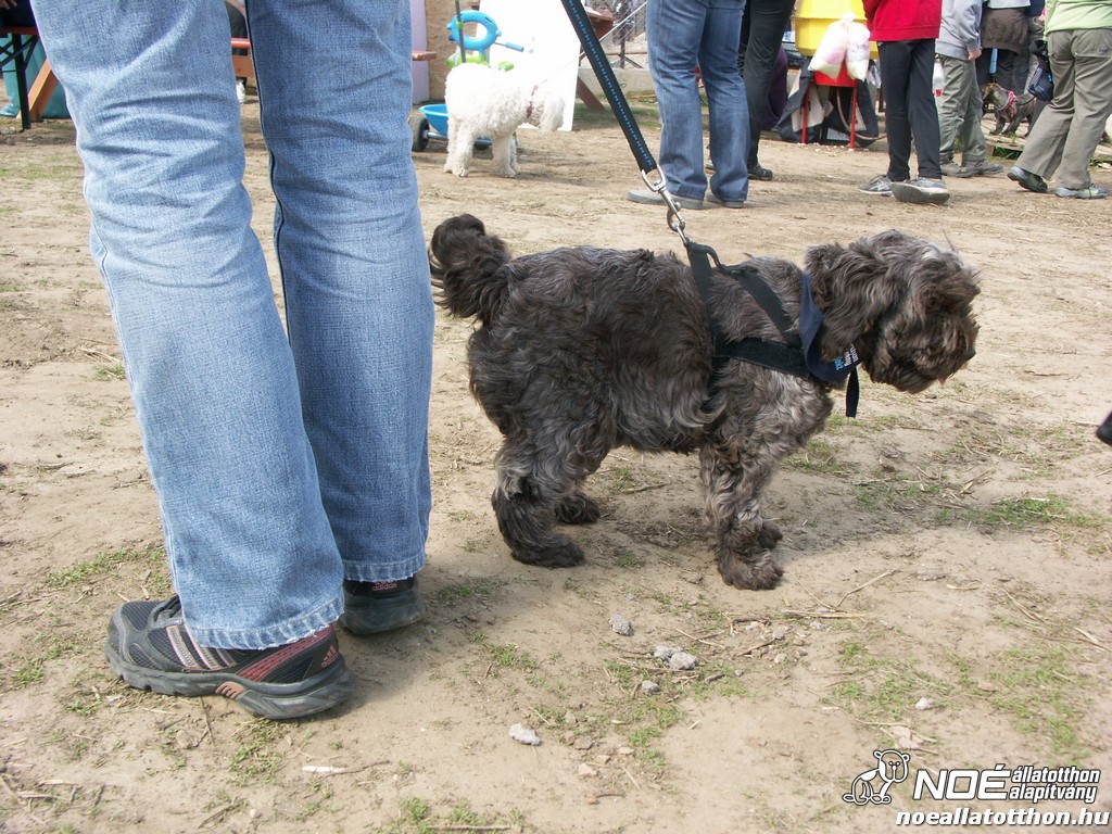 pict0227.jpg