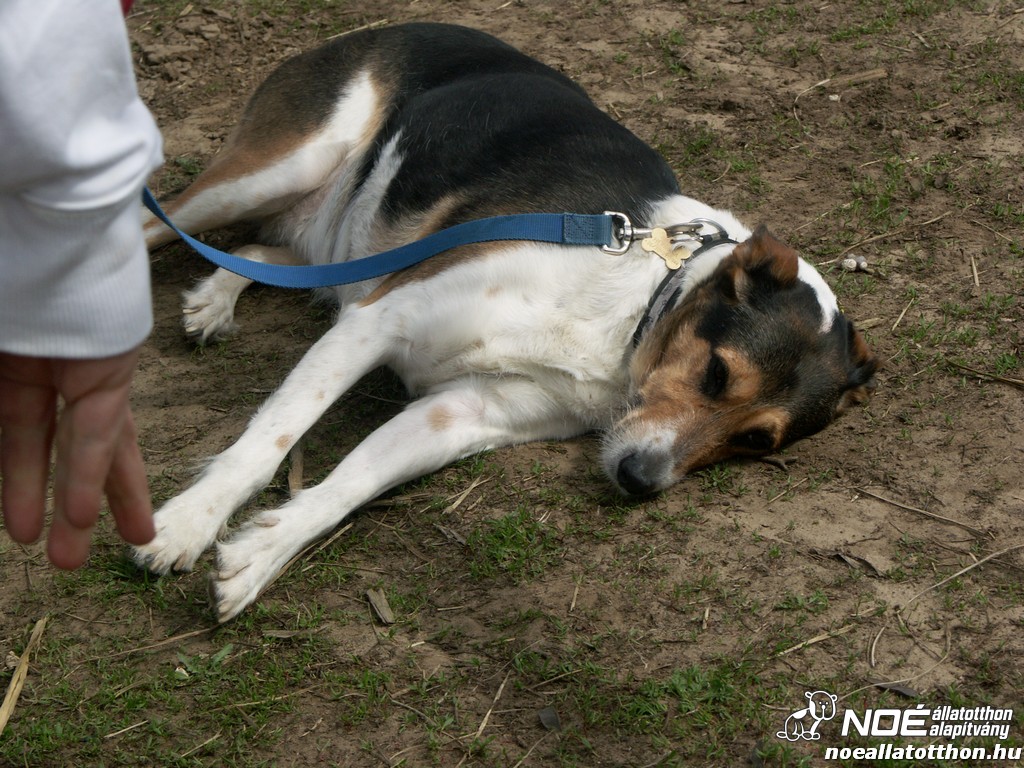 pict0260.jpg