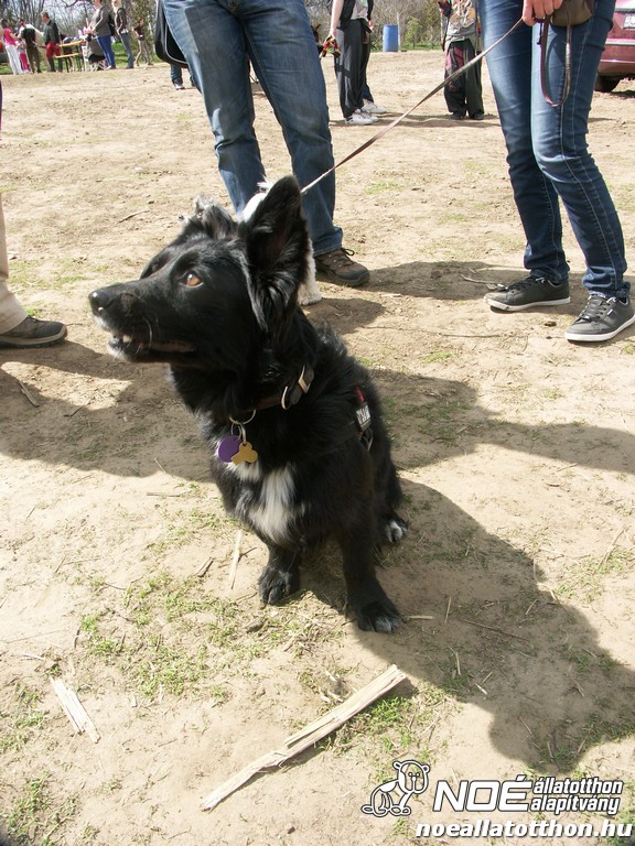 pict0487.jpg