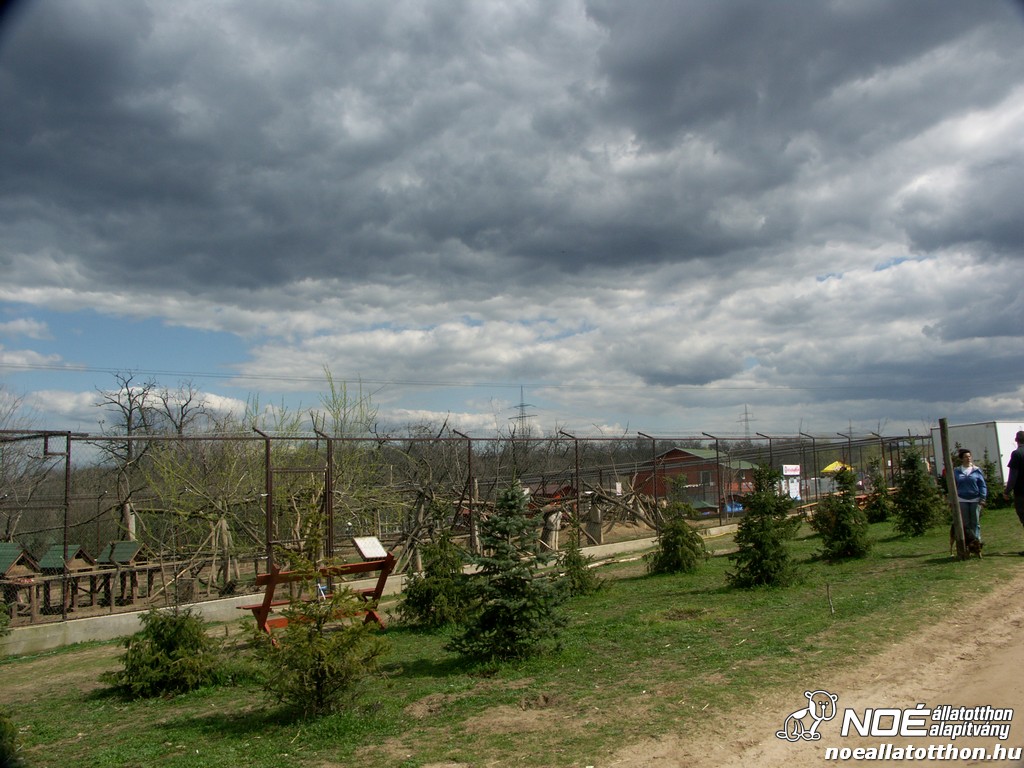 pict0651.jpg