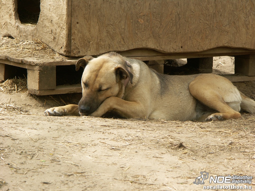 pict2148_3.jpg