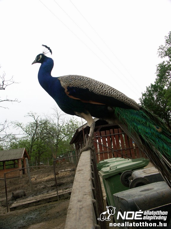 pict2587.jpg
