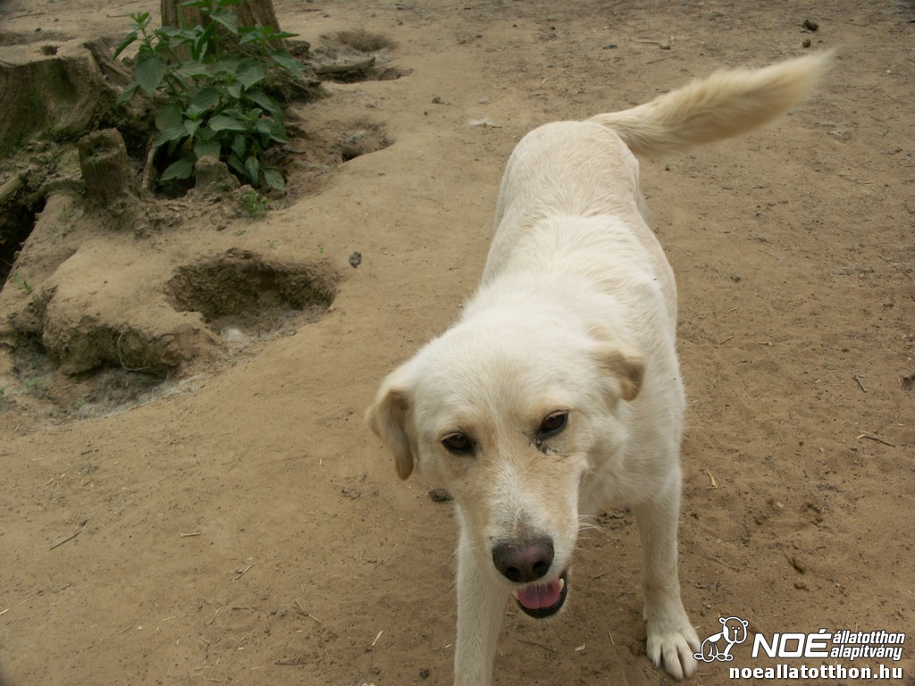 pict2672.jpg